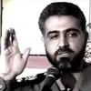 همه دنیا تلاش کردند !
