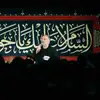 دلتنگ زیارتم آقا بببرم حرم