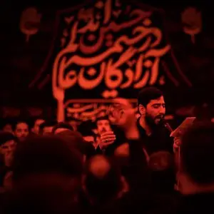 کبودی های بالم و ببین